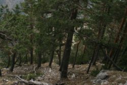 2011-04-24_Regina-F-Rau_Brunnstein-Spitze (046).JPG